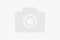 Smart Print FG-S161-E1, 3D филамент, PLA, 1,75mm, 1000g, Син (Navy blue)